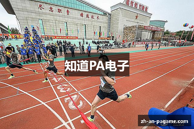 知道PA电子